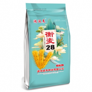 衡麥28